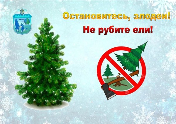 Акция берегите елочку в детском саду