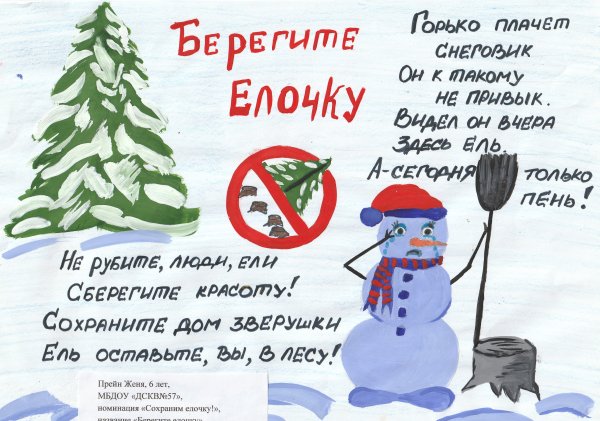 Сбережем елочку