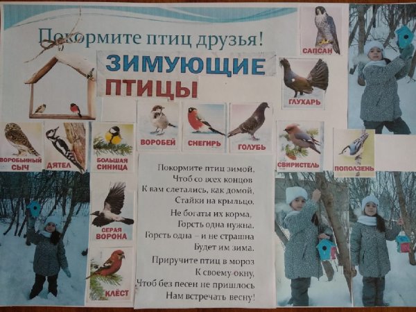 Газета ко Дню птиц