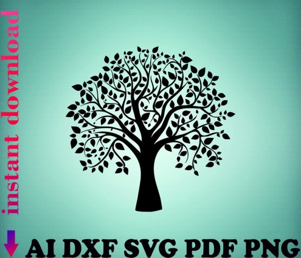 Плакат деревья для детского сада