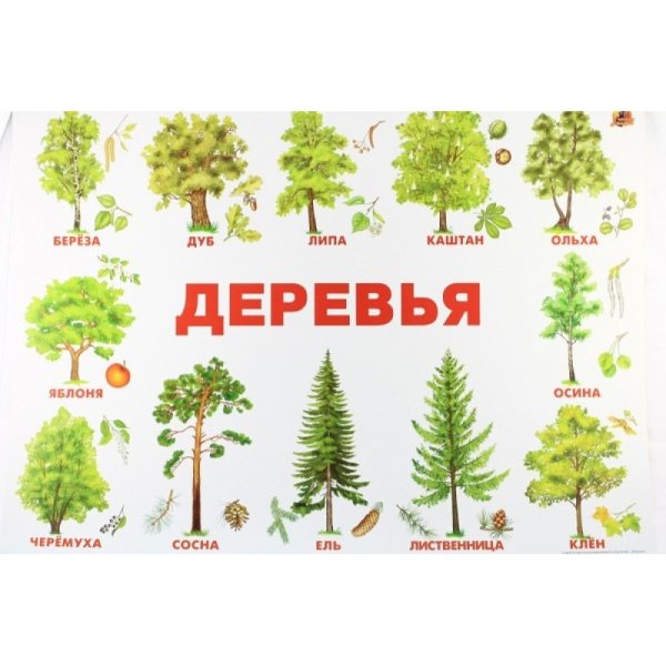 Дерево добрых дел