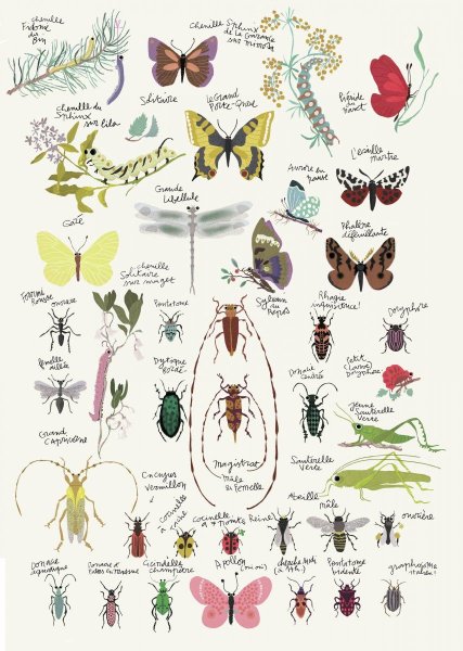 Насекомые для детей