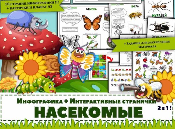 Картинки насекомых с названиями