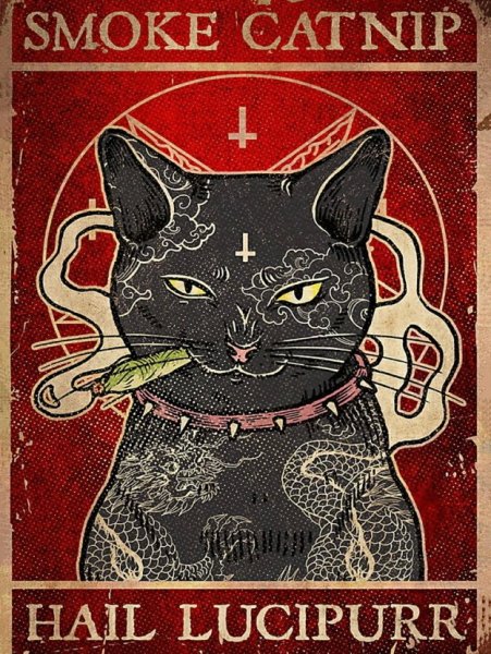 Кот с плакатом