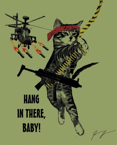 Кот с плакатом