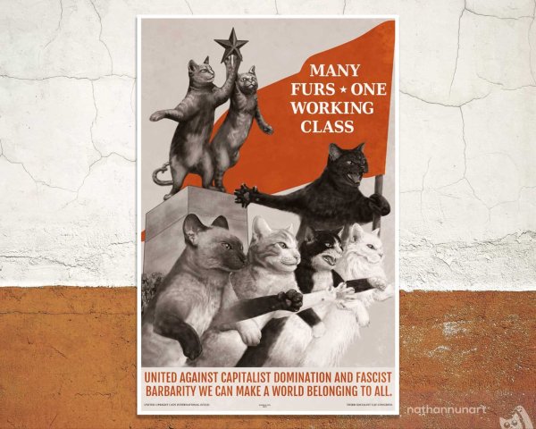 Кот с плакатом