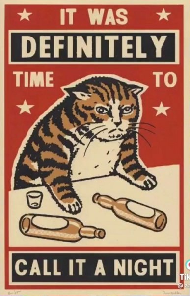 Кот с плакатом