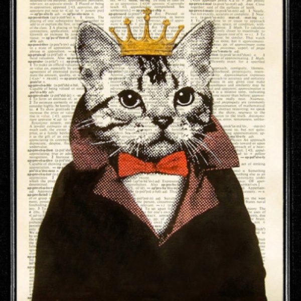 Плакаты с котами