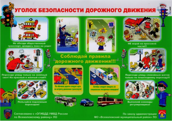 Правила поведения на дороге