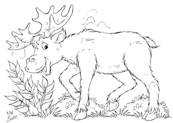 Береги животных раскраска для детей