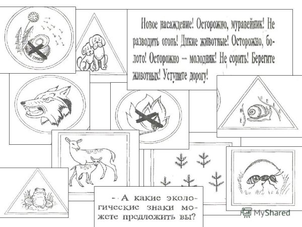 Берегите природу задание для детей