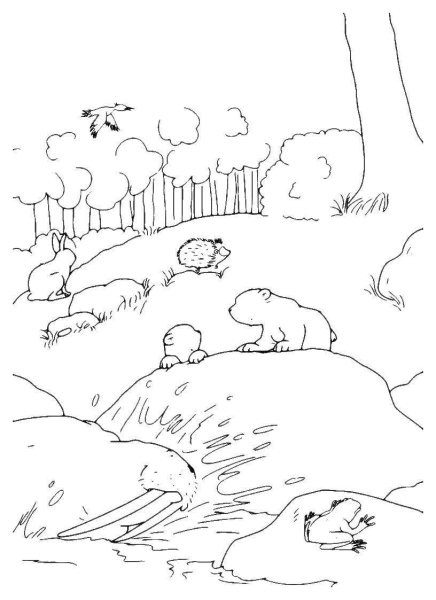 Раскраска медвежата на природе для детей