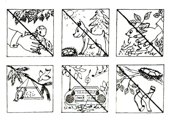 Знаки поведения в природе для дошкольников