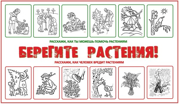 Плакат берегите растения