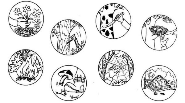 Экологические знаки