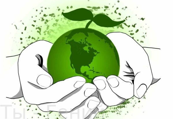 Плакат по охране природы