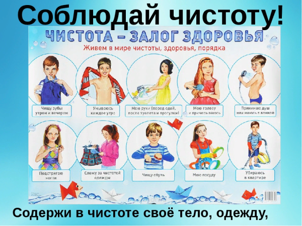 Чистота залог здоровья