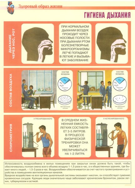 Плакат по личной гигиене