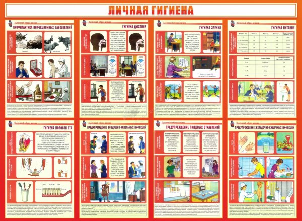 Стенд «личная гигиена»