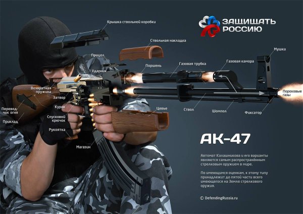 Стрелковое оружие инфографика