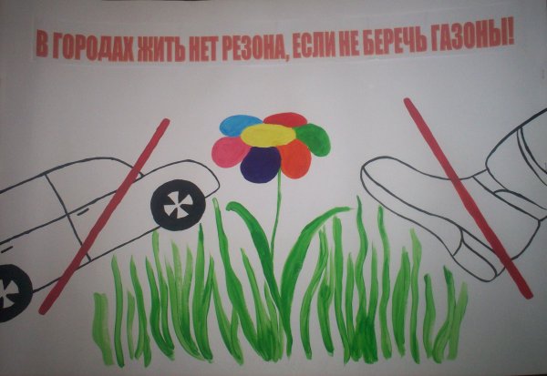 Рисунок на тему береги растения