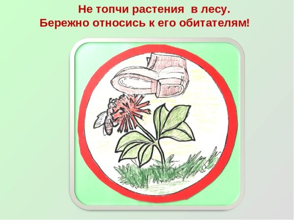 Рисунок на тему береги растения