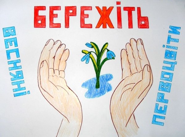 Плакат берегите природу