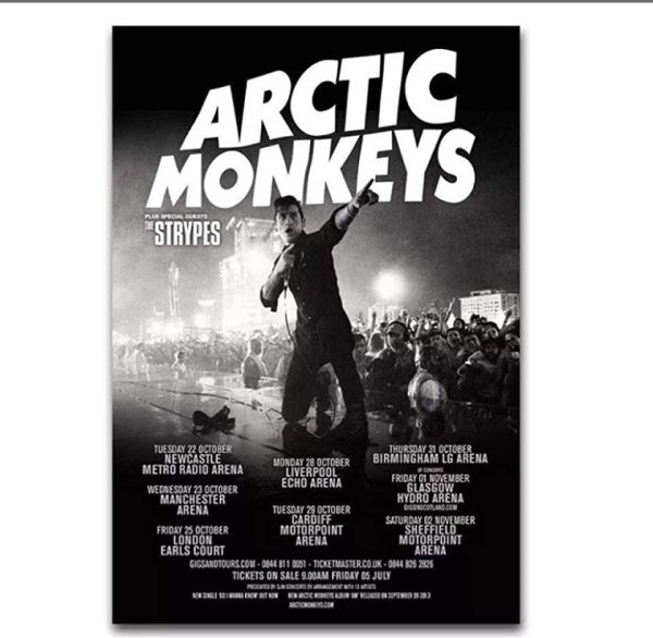 Плакат Арктик манкис