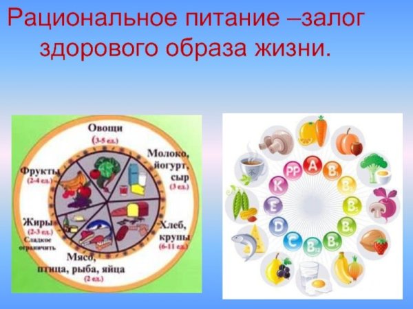 Питание залог здорового образа