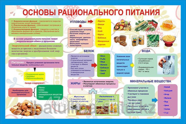 Плакат правильное питание