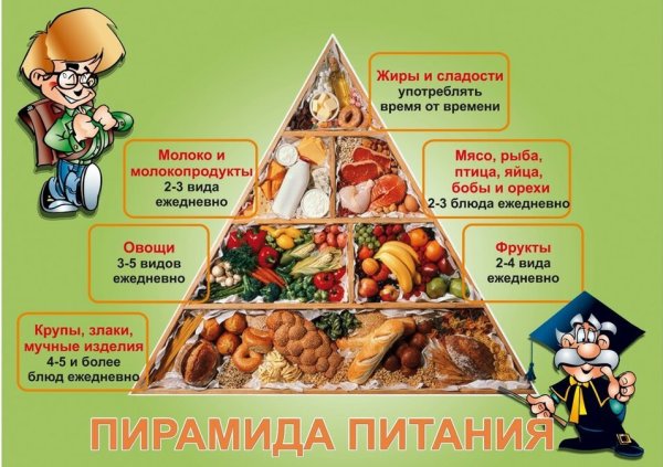 Плакат правильное питание