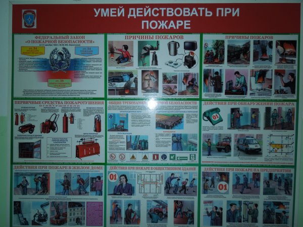 Плакаты магазина красное и белое