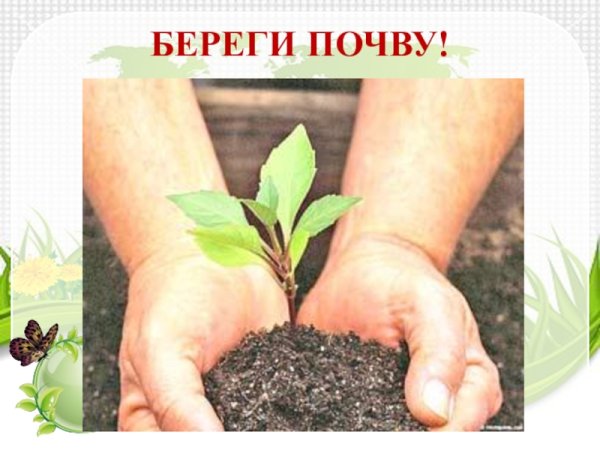 Плакат береги свою планету