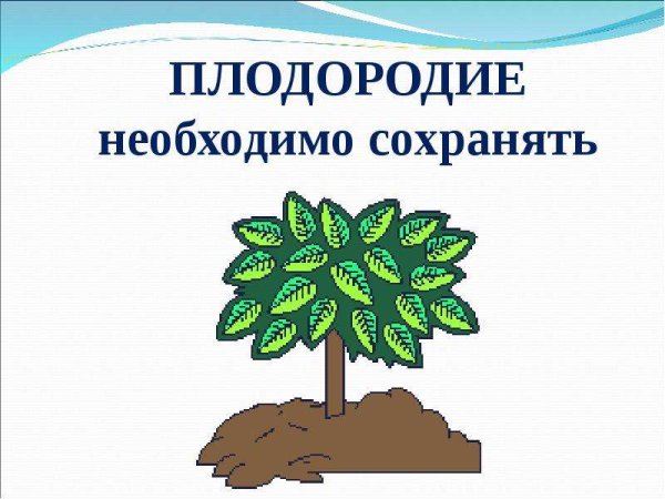 Нарисовать плакат береги почву