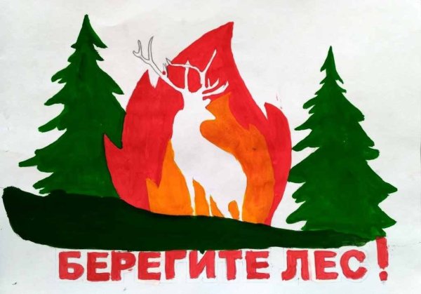 Плакат "берегите лес!"