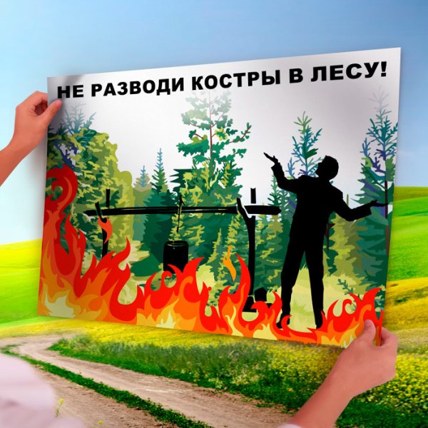 Плакат береги лес