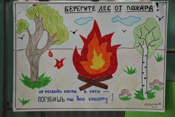 Плакат на тему берегите лес