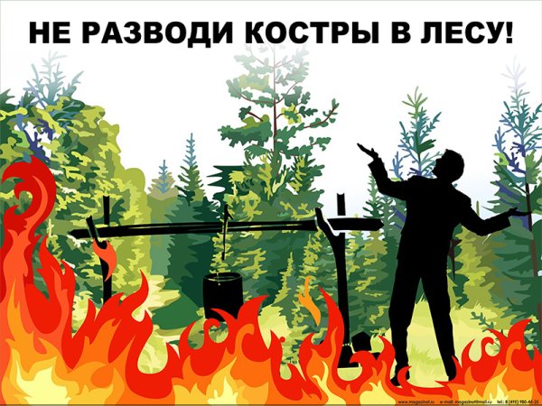 Берегите лес от пожара рисунки