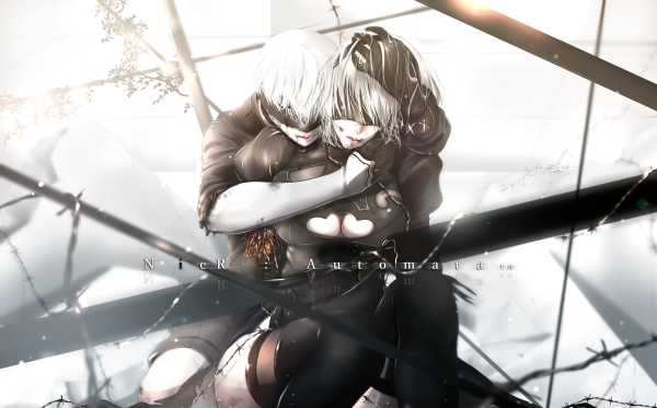 NIER Automata 9s x a2