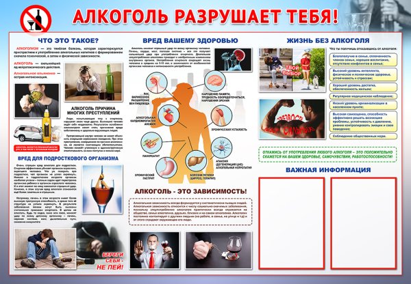 ЗОЖ алкоголизм