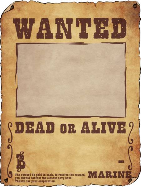Wanted разыскивается