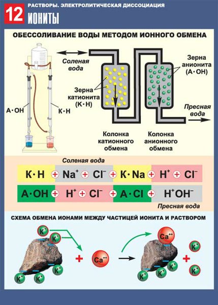 Плакат по биологии