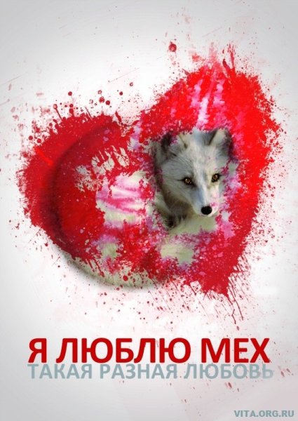 Социальный плакат защита животных