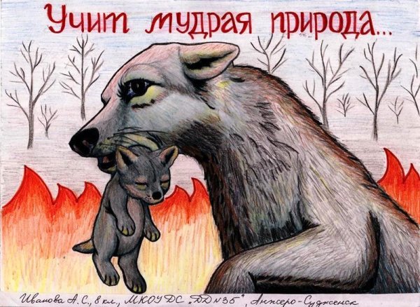 Плакат охрана животных