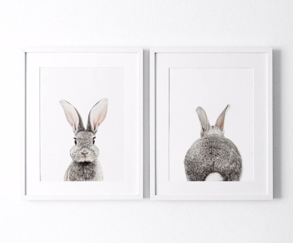 Кролик спереди и сзади