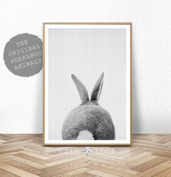 Кролик плакат