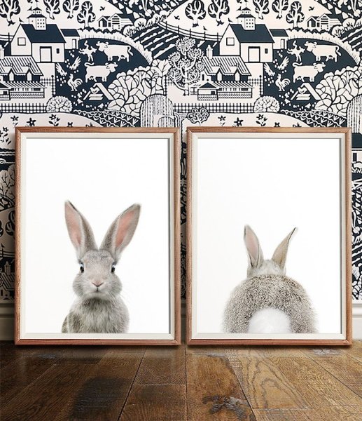 Кролик плакат