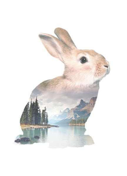 Постеры в скандинавском стиле животные