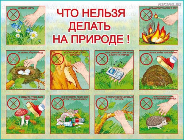 Экологические знаки для детей