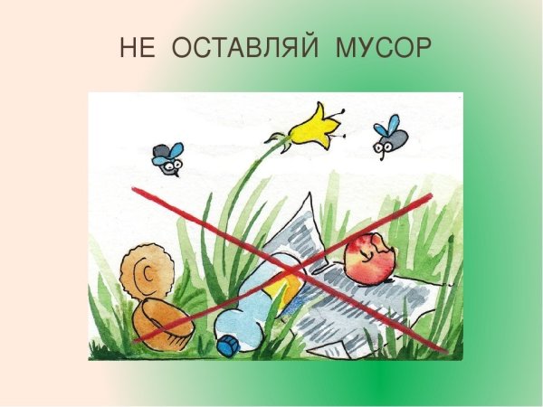 Знаки правила поведения в лесу